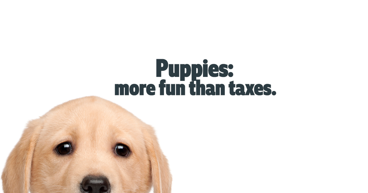 Puppies or Taxes?
