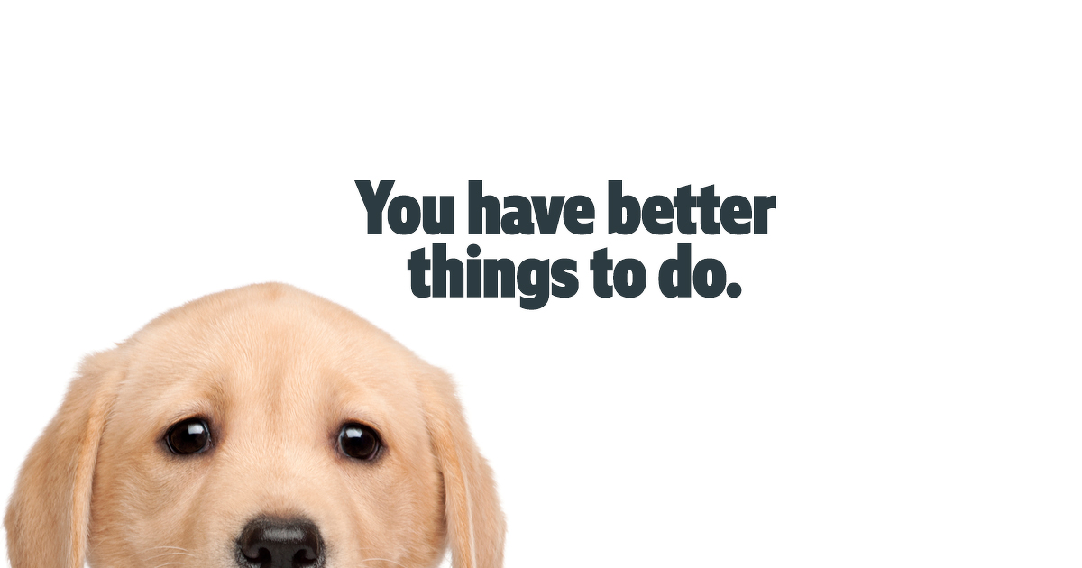Puppies to the Rescue